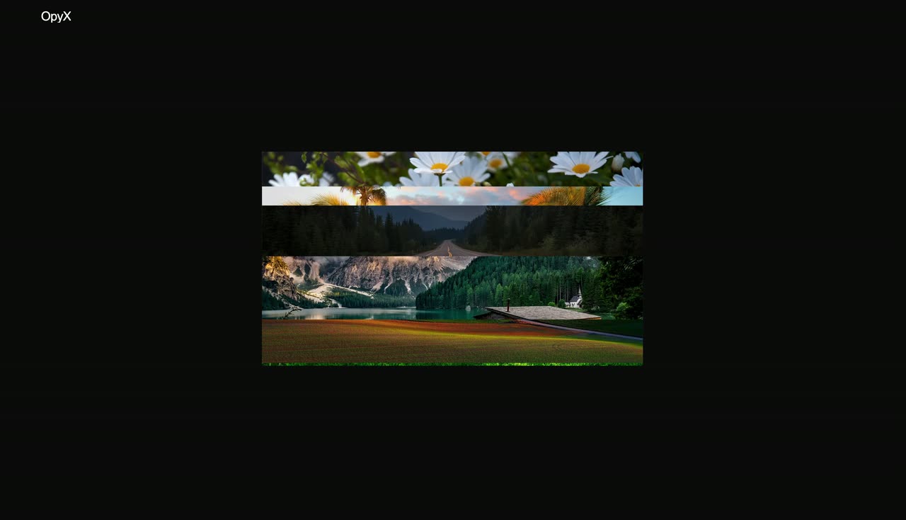 A small forest image replaced by a flower image that grows to fill the dark screen with a headline.