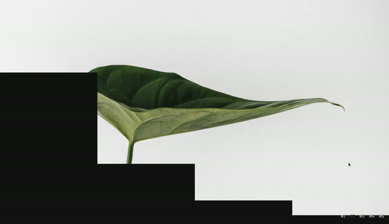 Botanical product photos on white with dark stepped blocks sliding over to reveal the next image.