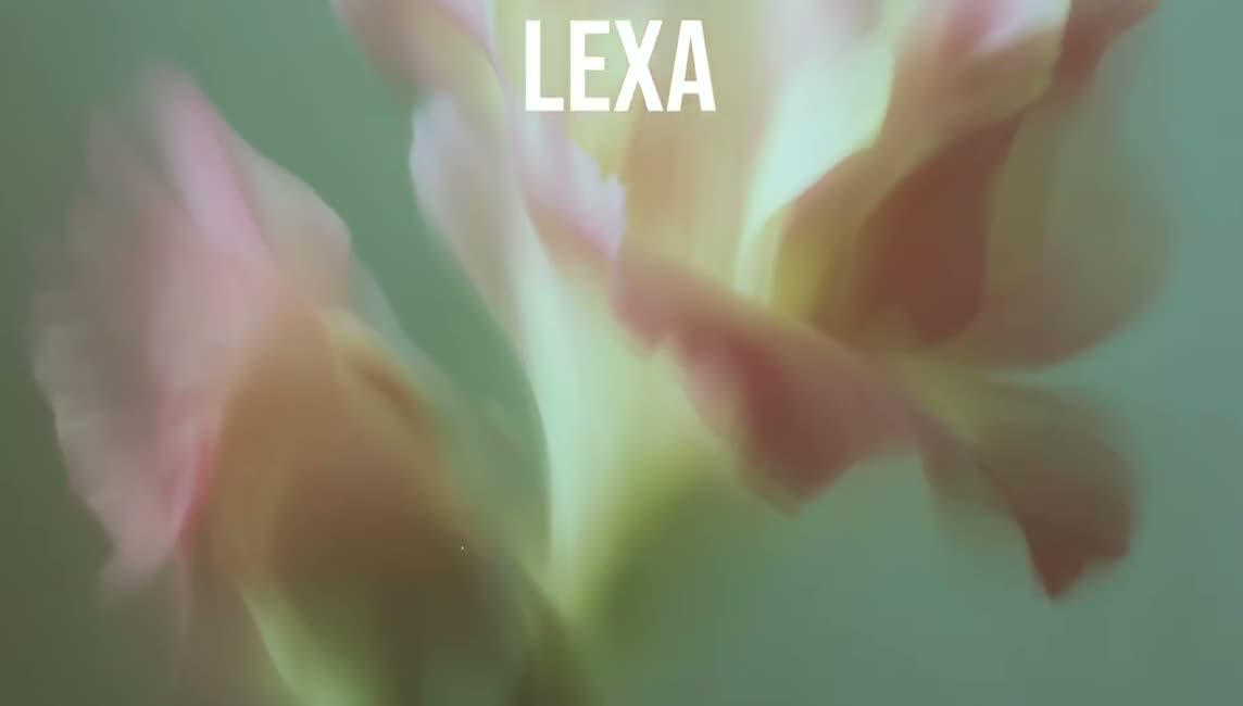 Soft-focus film stills transitioning with chromatic distortion under large condensed titles.