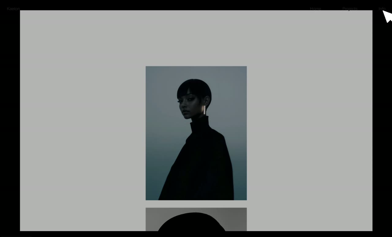 A portrait thumbnail on white scaling into a framed view and then a split detail page.