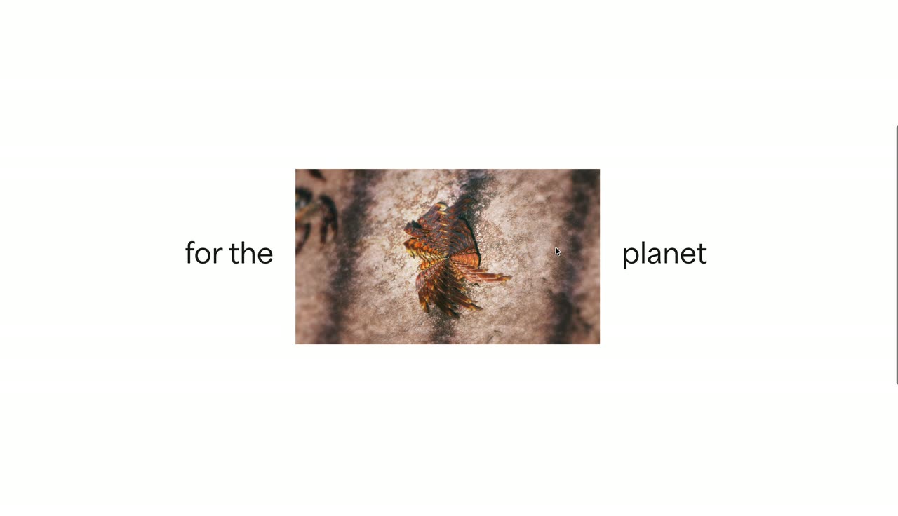 Nature photos floating on white collapsing into a small image inside a sentence, then a full-screen crab photo.